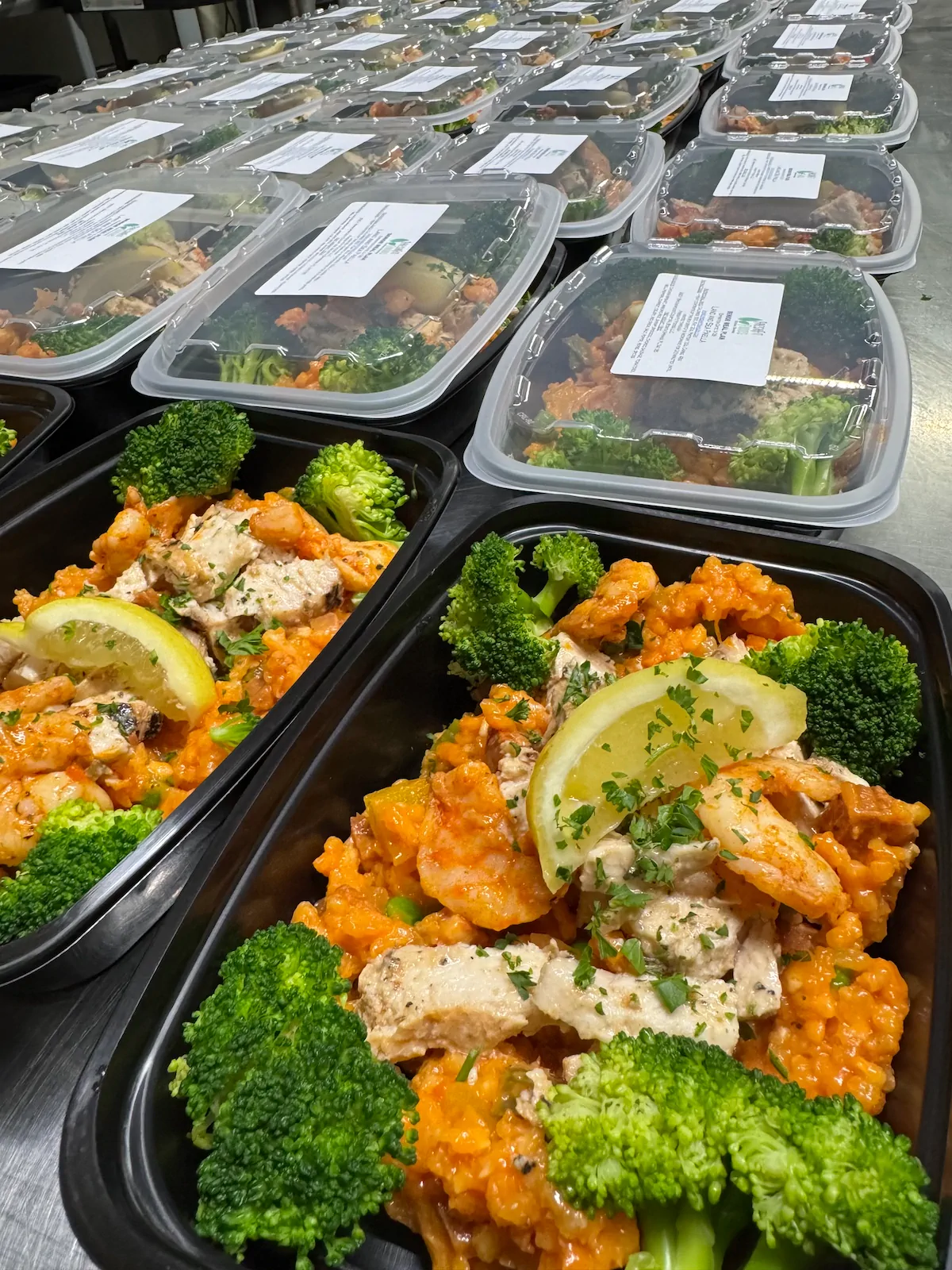 Freshly prepared parmesan chicken meal